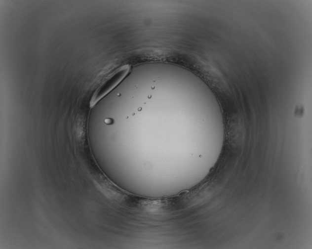 X0000090750131200708031616