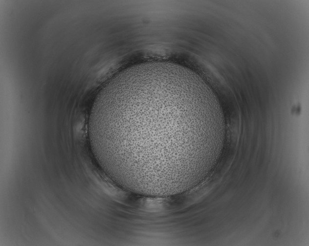 X0000090750134200708031616