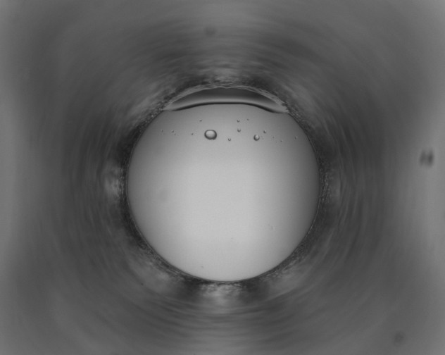 X0000090750135200708031616