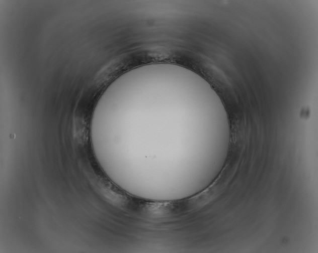 X0000090750136200708031616