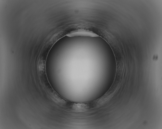 X0000090750137200708031616