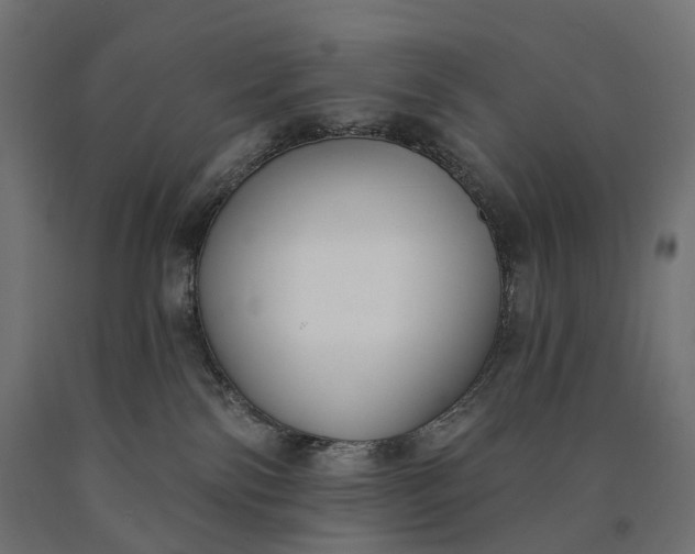 X0000090750138200708031616