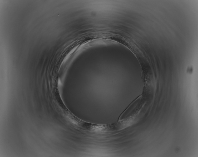 X0000090750139200708031616