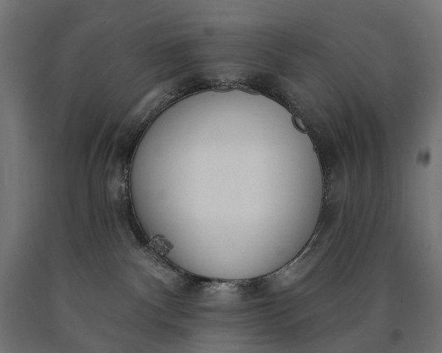 X0000090750140200708031616