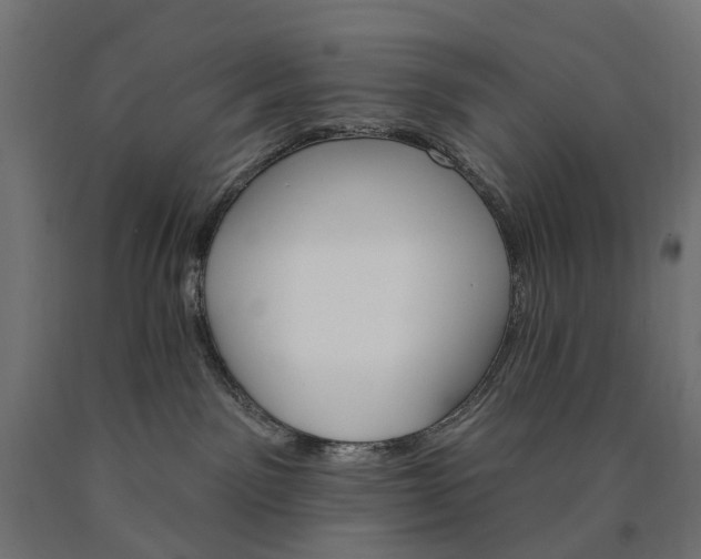 X0000090750141200708031616