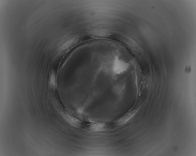 X0000090750143200708031616