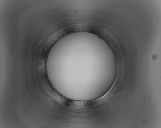 X0000090750144200708031616