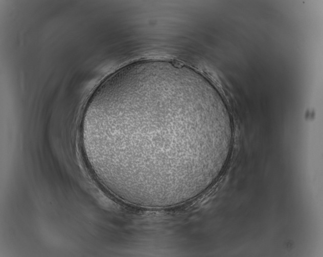 X0000090750145200708031615