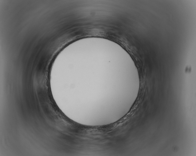 X0000090750146200708031615