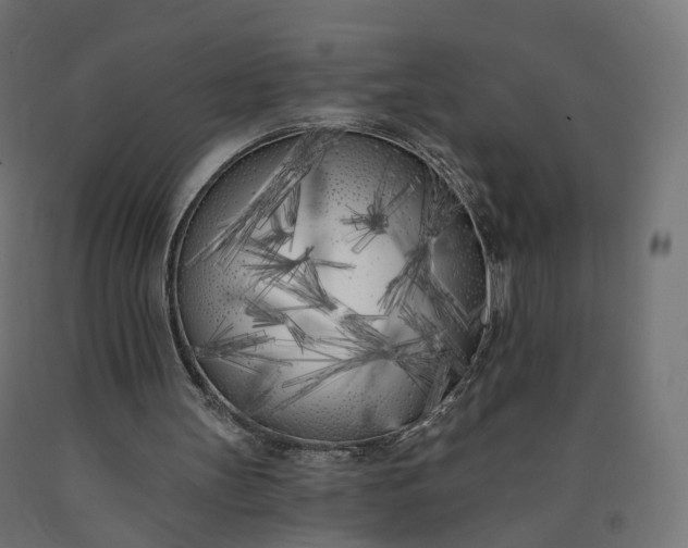 X0000090750147200708031615