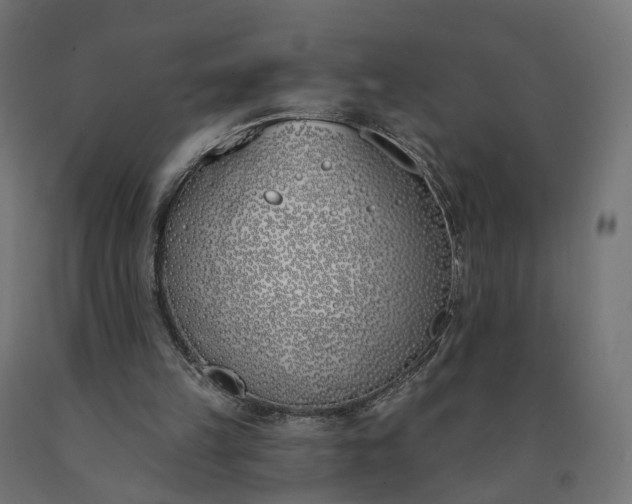 X0000090750149200708031615