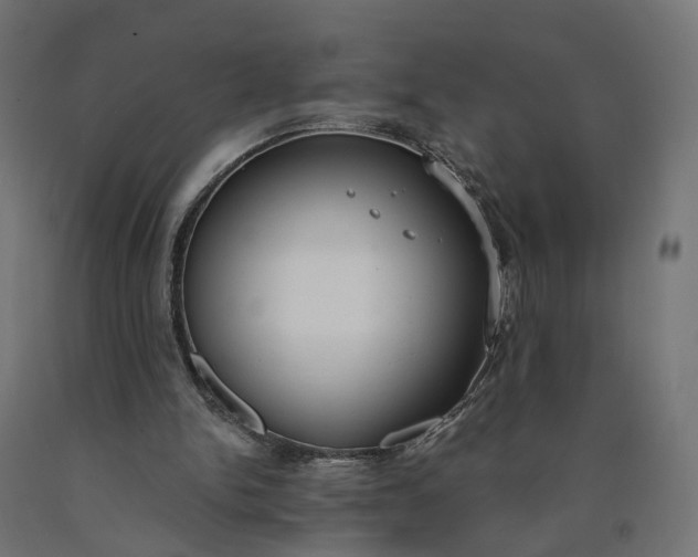 X0000090750150200708031615