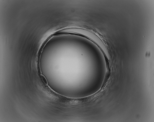 X0000090750152200708031615