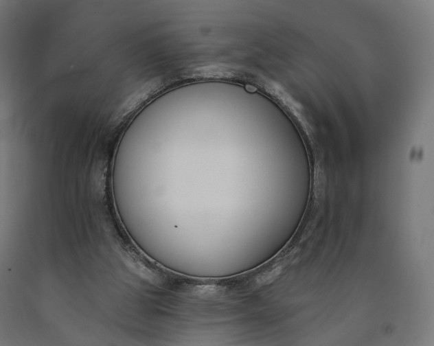 X0000090750153200708031616