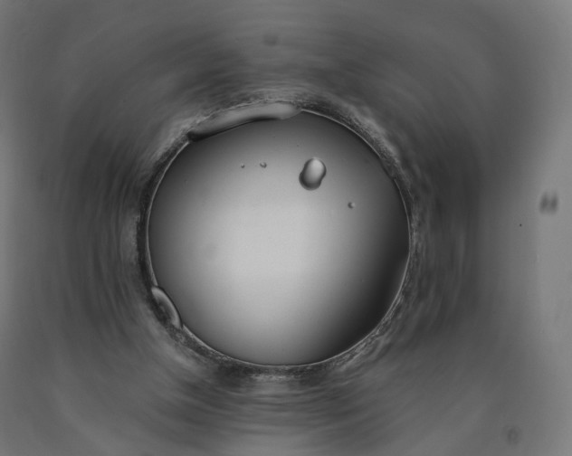 X0000090750154200708031616