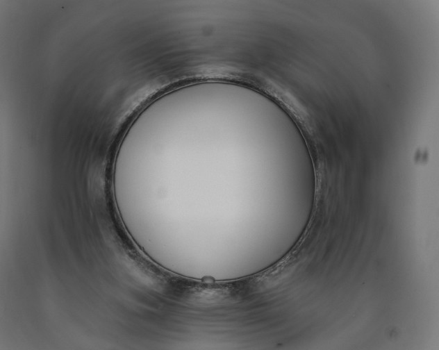 X0000090750155200708031616