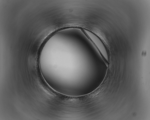 X0000090750156200708031616