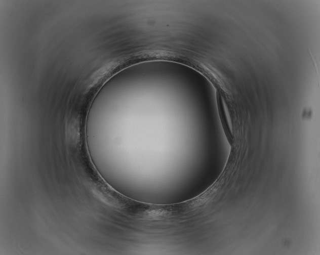 X0000090750158200708031616