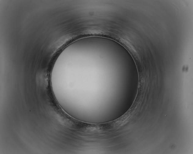 X0000090750160200708031616