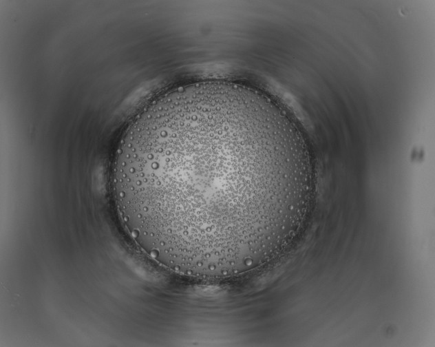 X0000090750161200708031616