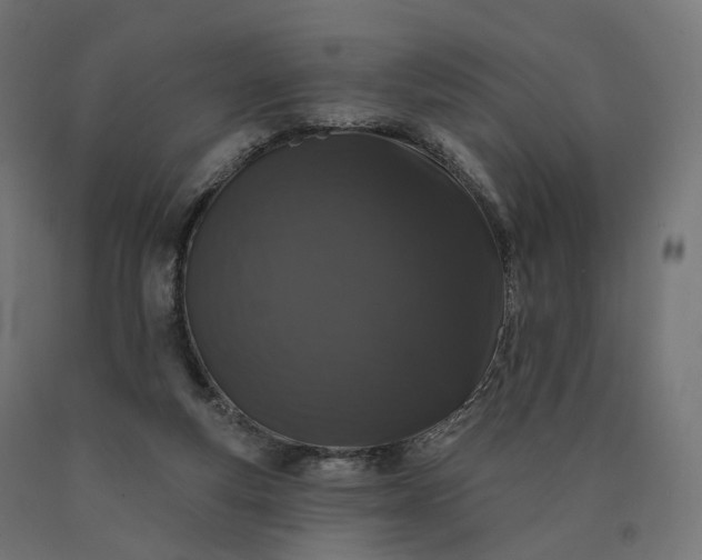 X0000090750163200708031616