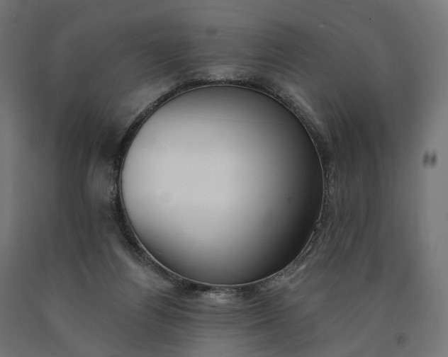 X0000090750164200708031616