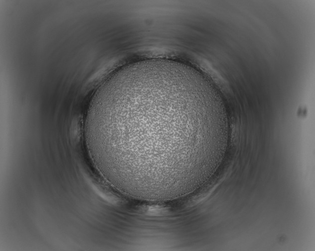 X0000090750165200708031616