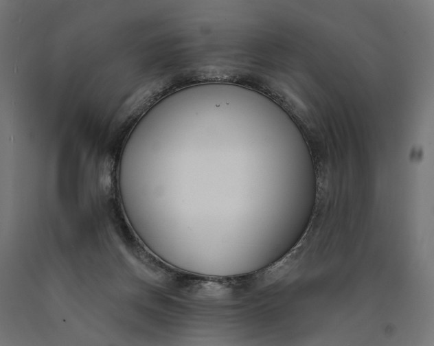 X0000090750166200708031616