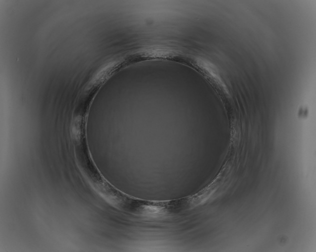 X0000090750167200708031616