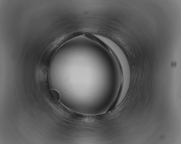 X0000090750168200708031616