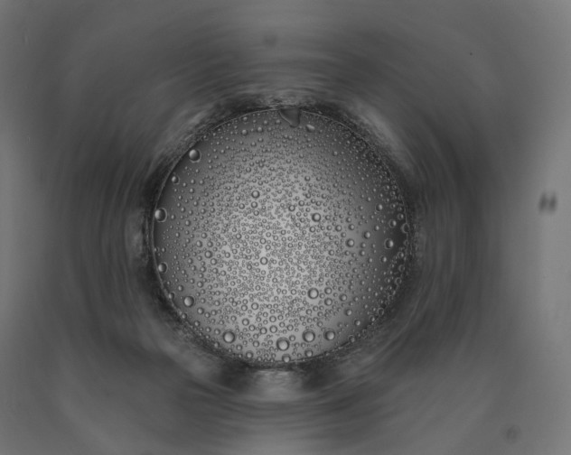 X0000090750169200708031616