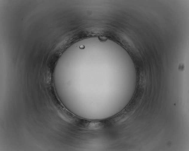 X0000090750173200708031616