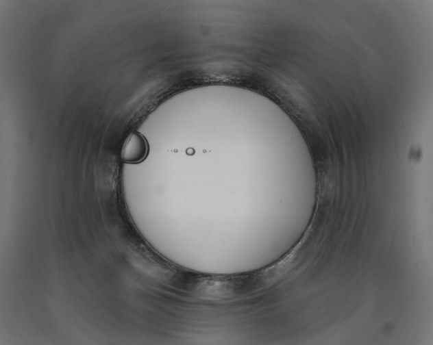 X0000090750174200708031616