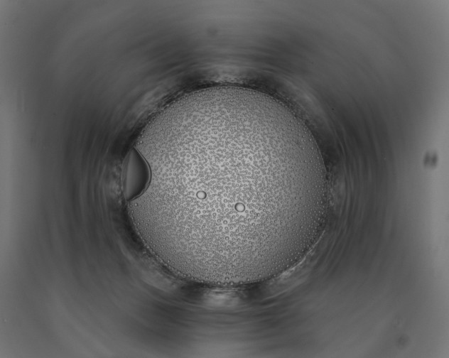 X0000090750175200708031616