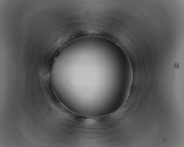 X0000090750176200708031616