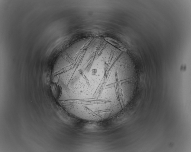 X0000090750177200708031616