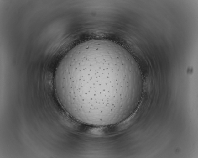 X0000090750178200708031616