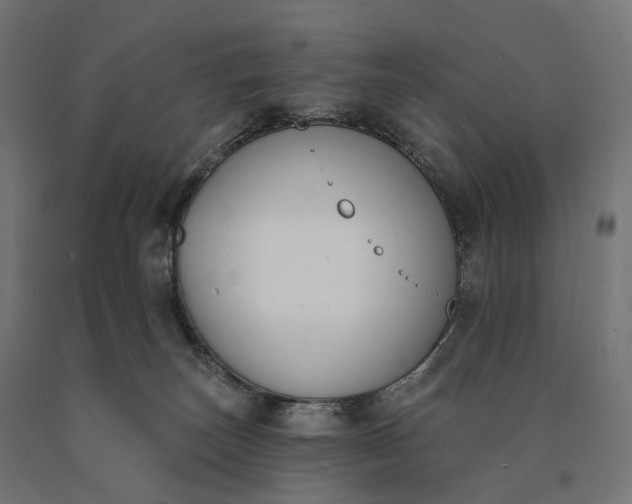 X0000090750179200708031616