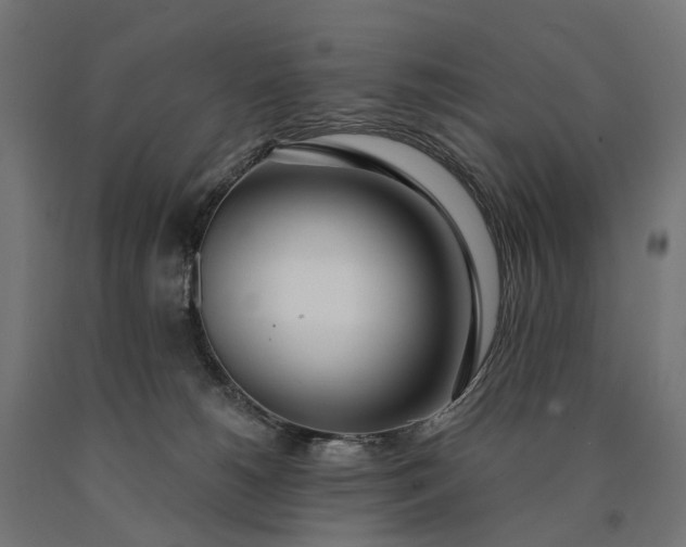 X0000090750180200708031616