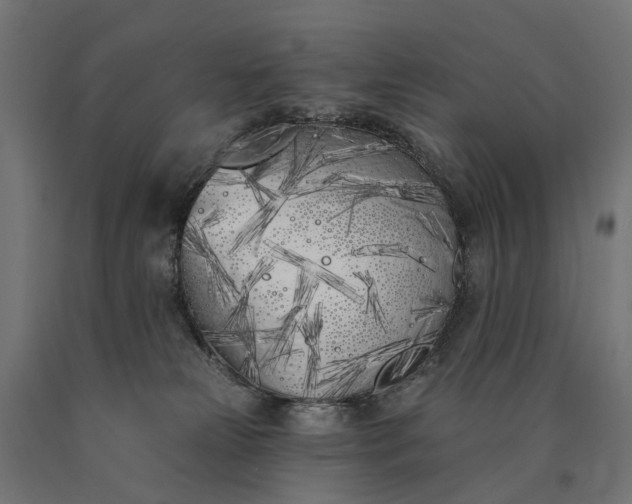 X0000090750181200708031616