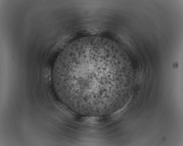 X0000090750182200708031616