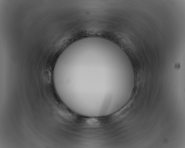 X0000090750183200708031616