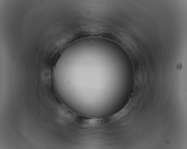 X0000090750184200708031616