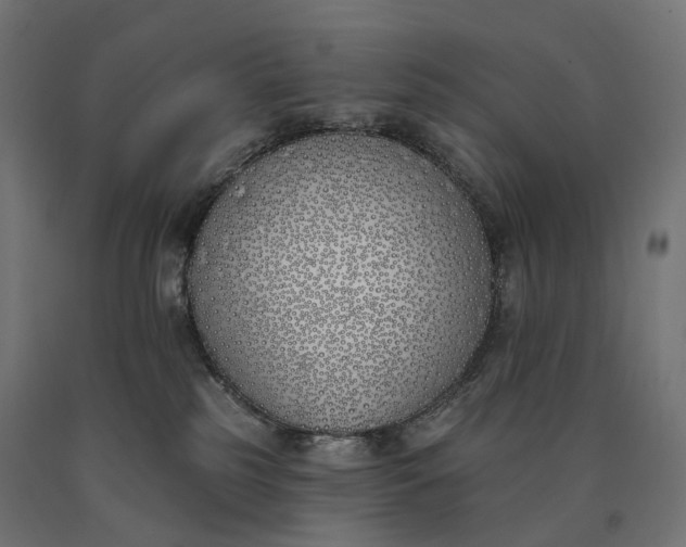 X0000090750185200708031616