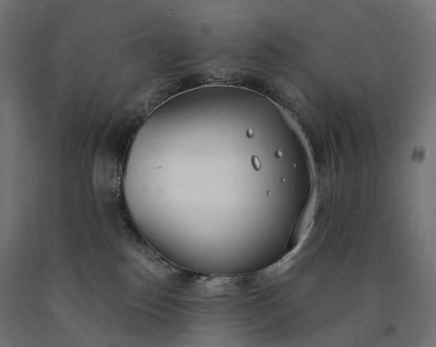 X0000090750186200708031616