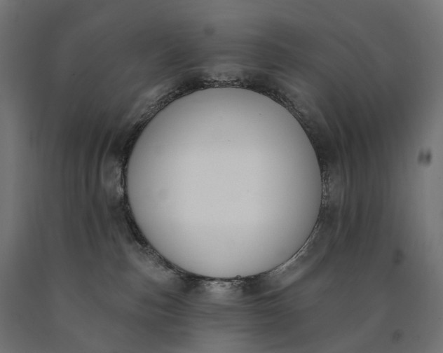 X0000090750187200708031616