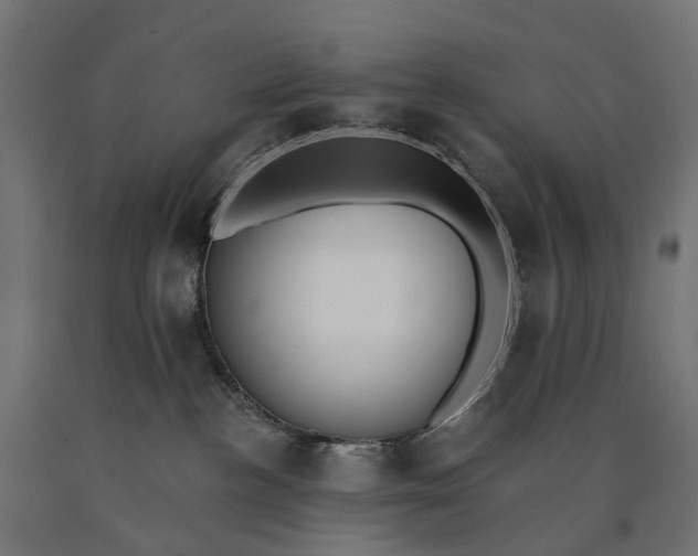 X0000090750188200708031616