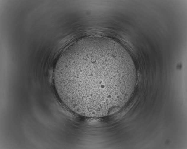 X0000090750189200708031616