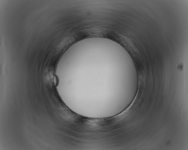 X0000090750190200708031616