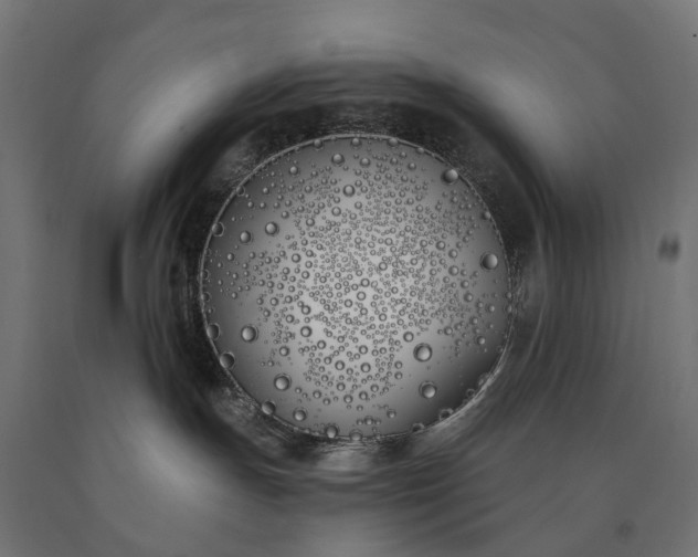 X0000090750191200708031616